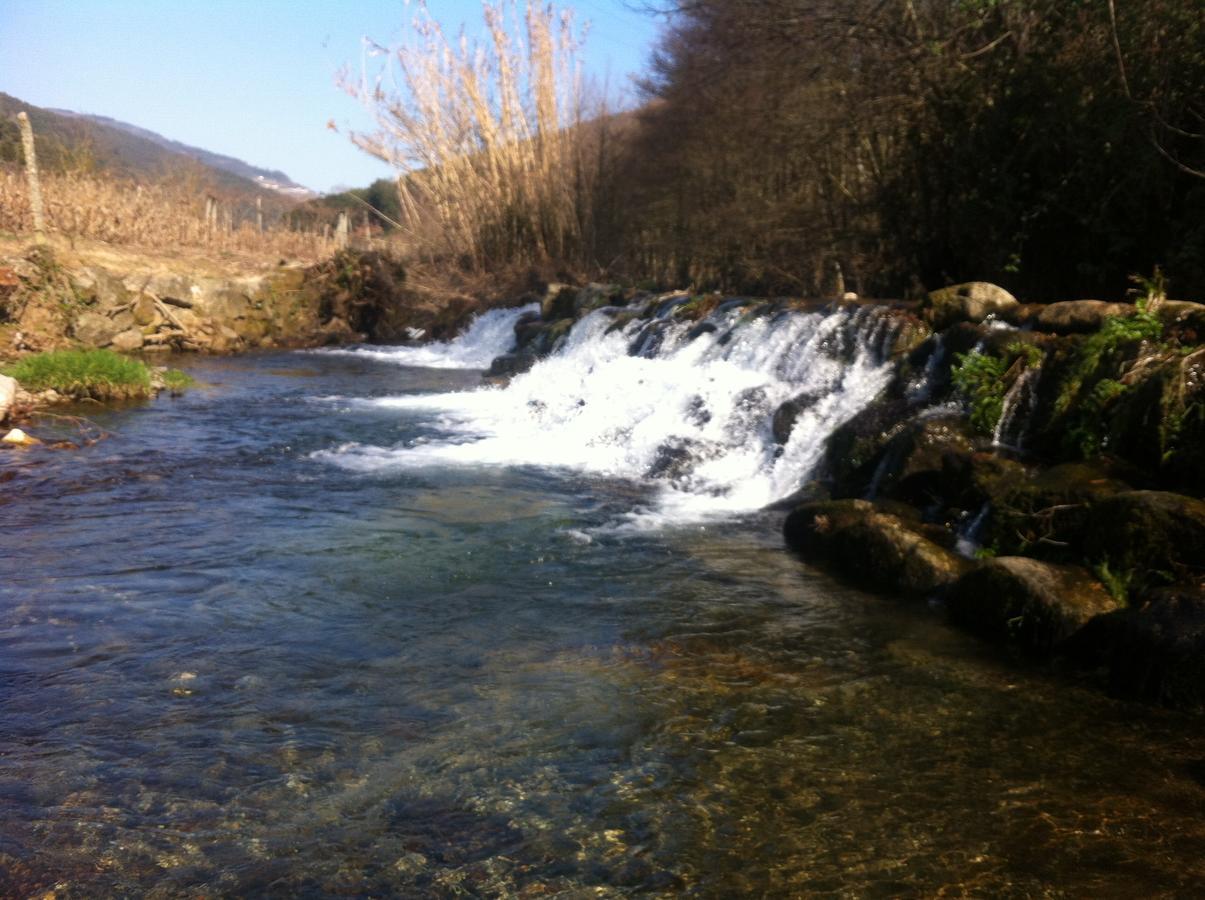 Casa Do Escoivo Hotel Loivos da Ribeira ภายนอก รูปภาพ
