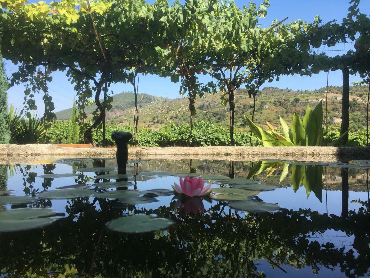 Casa Do Escoivo Hotel Loivos da Ribeira ภายนอก รูปภาพ